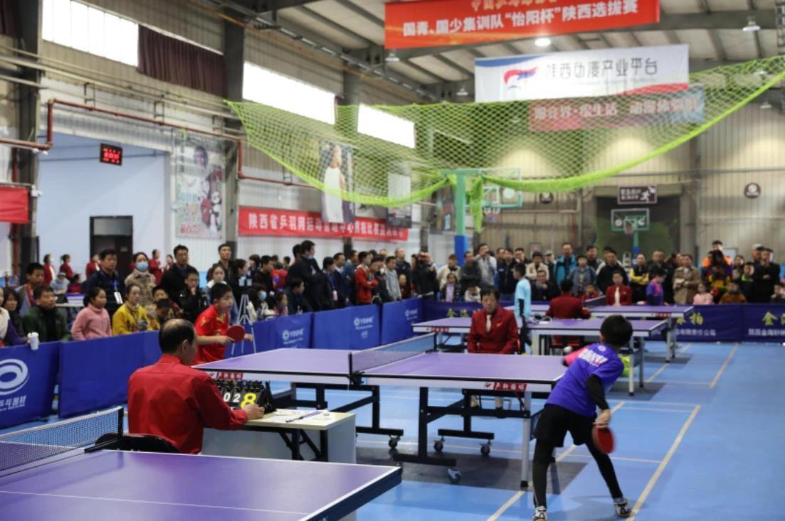 交往交流的 交往交流的