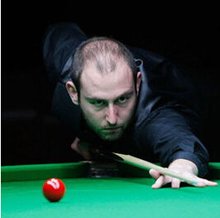 此次引进2 此次引进2