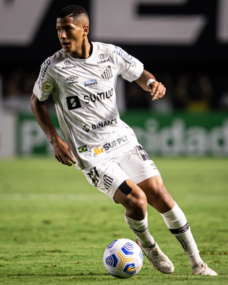 星的战术价 星的战术价